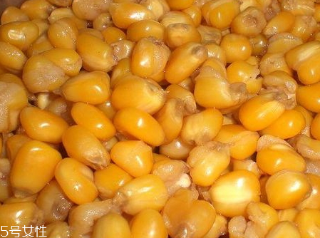 高粱酒和玉米酒的區(qū)別 高粱酒和玉米酒哪個好喝