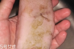 魷魚是海鮮嗎？魷魚屬于海鮮嗎？