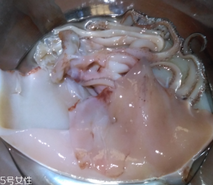 魷魚是海鮮嗎？魷魚屬于海鮮嗎？