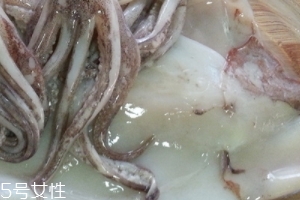 魷魚是烏賊嗎？魷魚跟烏賊是一種嗎？