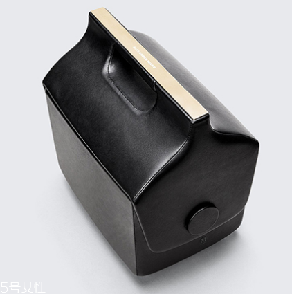 alexander wang與夢龍合作款包包多少錢_在哪買？