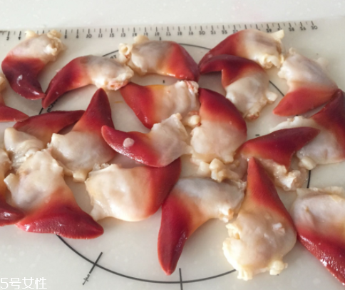 北極貝是海鮮嗎？北極貝介紹
