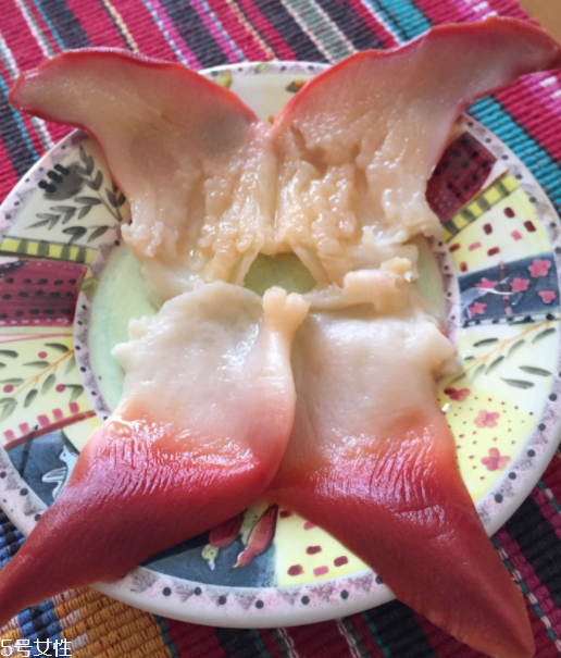 北極貝是海鮮嗎？北極貝介紹