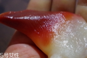 北極貝能不能煮？煮北極貝可以嗎？