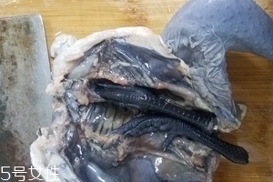 烏雞是公雞好還是母雞好？烏雞買公雞還是母雞？