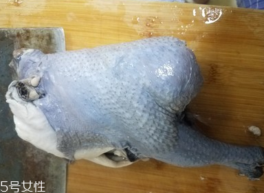 烏雞是公雞好還是母雞好？烏雞買公雞還是母雞？