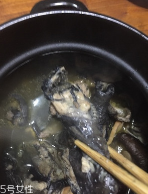 烏雞是公雞好還是母雞好？烏雞買公雞還是母雞？