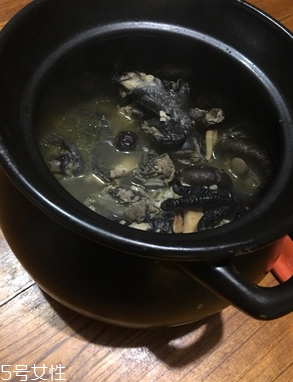 烏雞是公雞好還是母雞好？烏雞買公雞還是母雞？