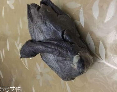 烏雞是熱性還是涼性？烏雞偏熱還是偏涼？