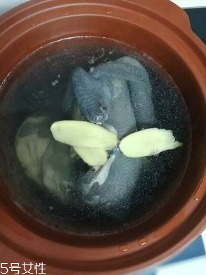 烏雞是熱性還是涼性？烏雞偏熱還是偏涼？