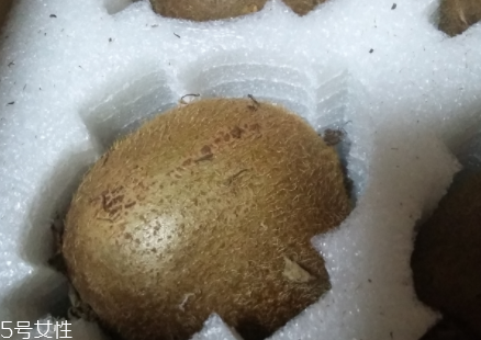 綠心獼猴桃硬的能吃嗎？硬的綠心獼猴桃能吃嗎？