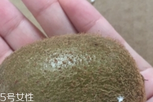 綠心獼猴桃含葉酸嗎？綠心獼猴桃里面有葉酸嗎？