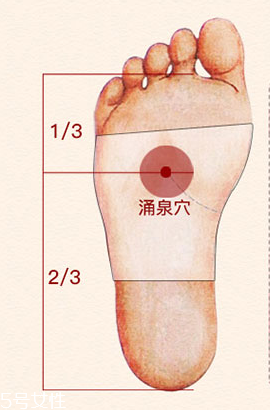 溢涌堂老北京足貼價(jià)錢 溢涌堂老北京足貼多少錢？