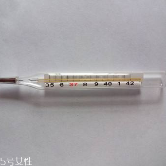 體溫計多少錢？體溫計價格