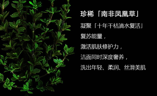阿瑪尼洗面奶怎么樣？阿瑪尼洗面奶評測