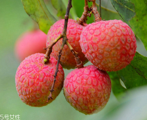 荔枝是涼性還是熱性？月經(jīng)來了能吃荔枝嗎