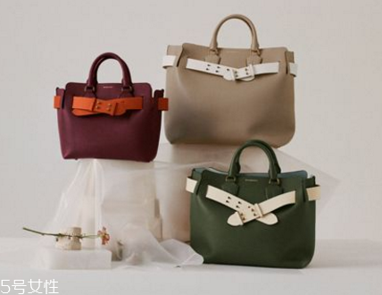 burberry the belt bag多少錢？巴寶莉貝爾特包專柜價格