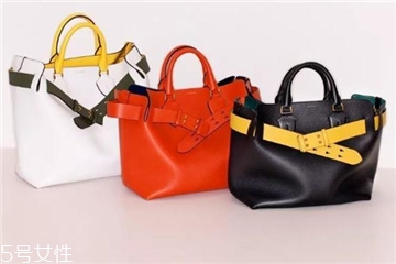 burberry the belt bag多少錢？巴寶莉貝爾特包專柜價(jià)格