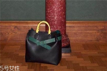 burberry the belt是什么皮？巴寶莉貝爾特包材質(zhì)