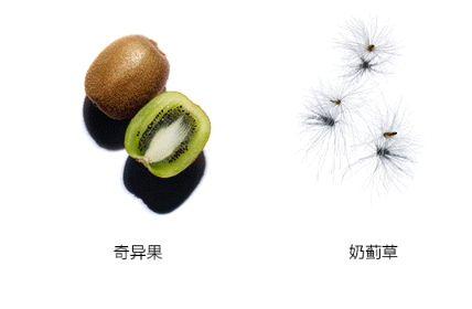 嬌韻詩雙萃精華多少錢？嬌韻詩雙萃精華容量