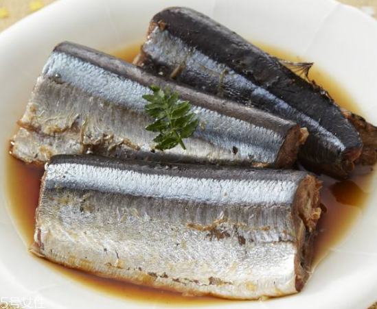 青魚(yú)怎么釣？青魚(yú)可以用什么餌料？