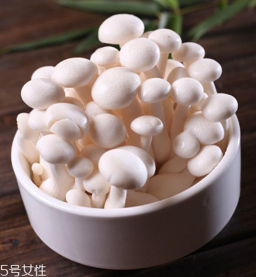 白玉菇為什么是苦的？白玉菇怎么會苦？