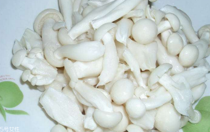 白玉菇為什么是苦的？白玉菇怎么會苦？