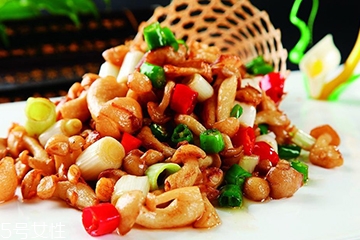 白玉菇和金針菇的區(qū)別 白玉菇是金針菇嗎？