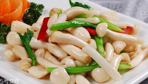 白玉菇的吃法 白玉菇能燉雞嗎？