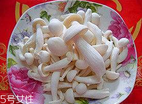白玉菇能和西紅柿一起吃嗎？白玉菇能和番茄一起吃嗎？