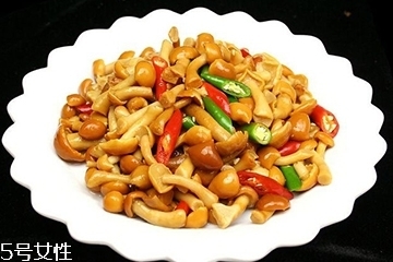 滑子菇是什么？滑子菇能吃嗎？