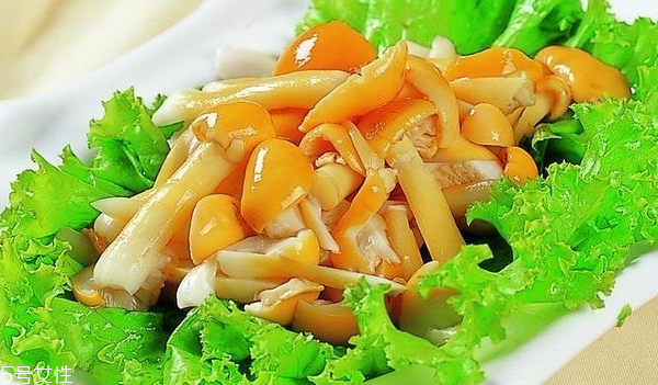 滑子菇的禁忌人群 哪些人不能吃滑子菇？