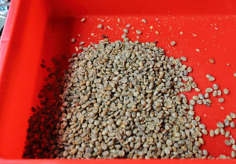 咖啡豆新豆、舊豆、老豆各有什么特色