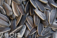 葵瓜子的熱量 葵瓜子會(huì)長(zhǎng)胖嗎？