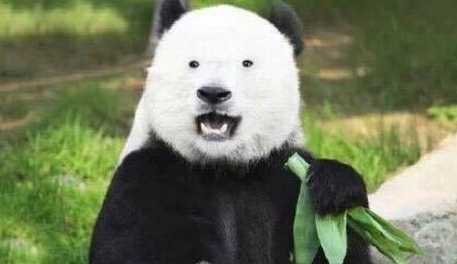 激光去黑眼圈多久恢復(fù)？激光除黑眼圈多久見(jiàn)效