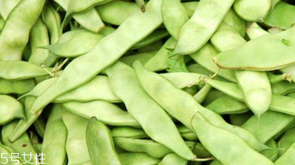 蕓豆是什么？蕓豆是豆角嗎？