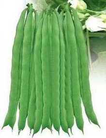 蕓豆能生吃嗎？蕓豆生吃會怎樣？