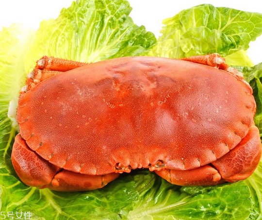 面包蟹肉多嗎？面包蟹幾月份最肥