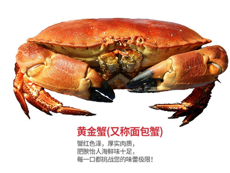 面包蟹肉多嗎？面包蟹幾月份最肥