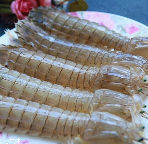 皮皮蝦能長多大？皮皮蝦最大有多大？