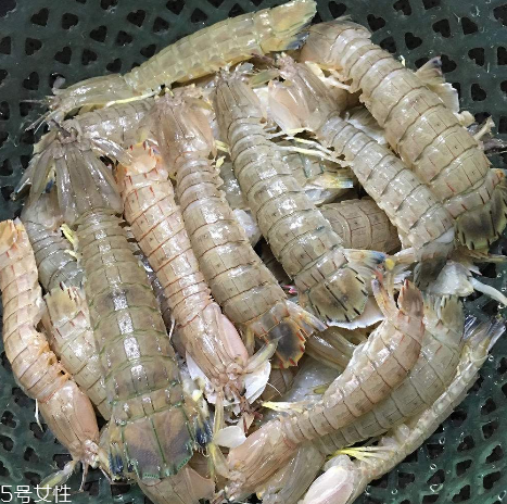 皮皮蝦能和櫻桃一起吃嗎？皮皮蝦和櫻桃可以同吃嗎？