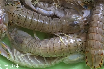 皮皮蝦皮能不能吃？皮皮蝦可以連皮吃嗎？