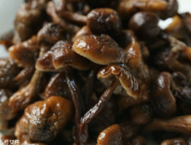 榛蘑能和雞一起吃嗎？榛蘑和雞一起吃的好處
