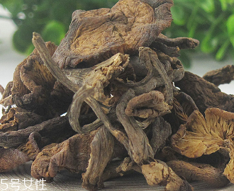 榛蘑怎么吃？干榛蘑怎么吃？