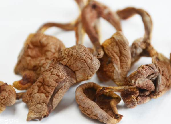 榛蘑和蘿卜相克嗎？榛蘑能不能和蘿卜一起吃？