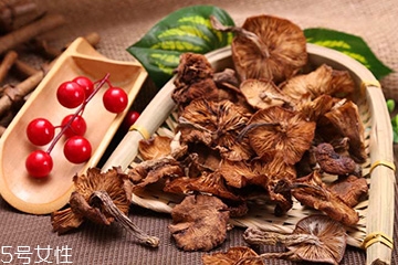 榛蘑的好處 榛蘑對人有什么益處？