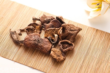 榛蘑是蘑菇嗎？榛蘑是什么蘑菇？