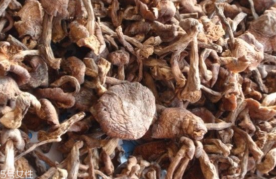 榛蘑和木耳的區(qū)別 榛蘑和木耳能一起吃嗎？