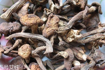 榛蘑和木耳的區(qū)別 榛蘑和木耳能一起吃嗎？