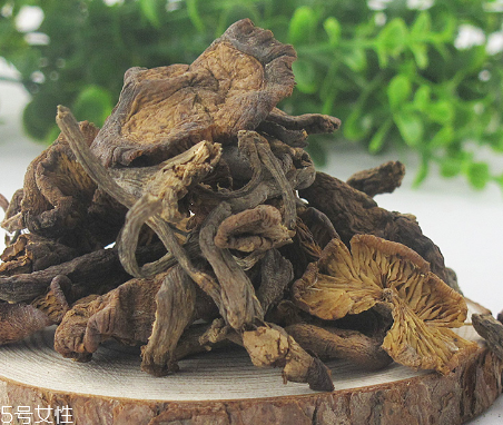 榛蘑能和豆腐一起吃嗎？榛蘑豆腐的做法